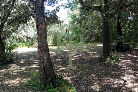 Helårsgrund i Ostuni, Brindisi, Ostuni - € 410.000 | Ref: Terreno Rella14 - foto 8